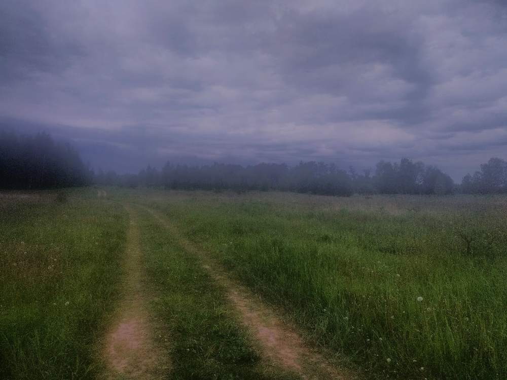 Дорога в туман