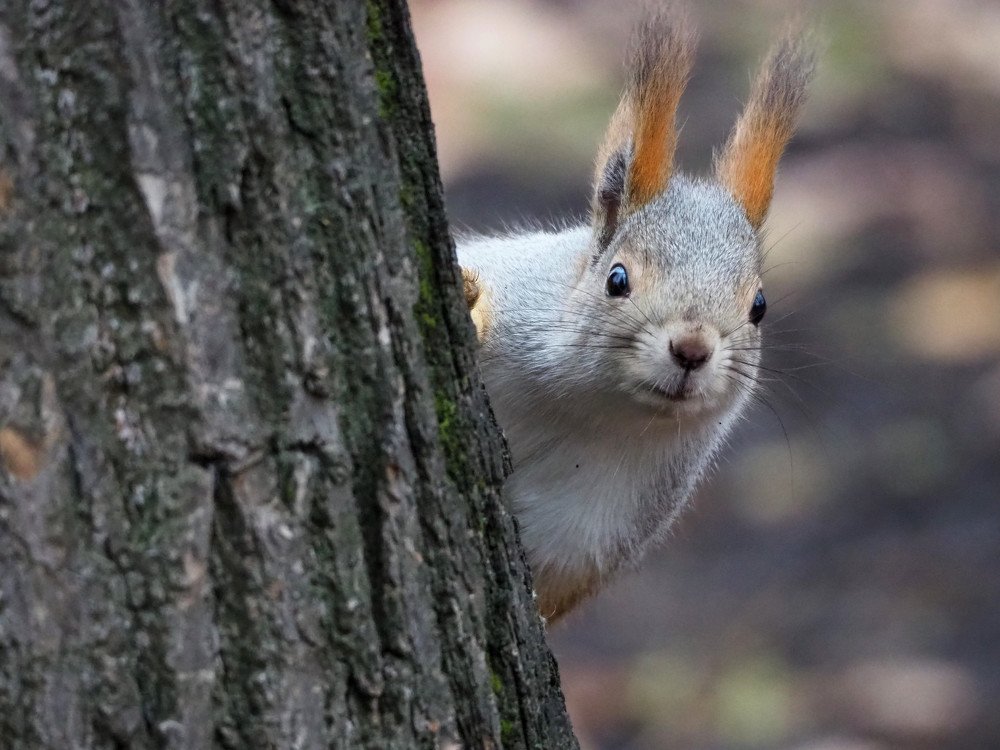 Photograph by Elena Khalizova