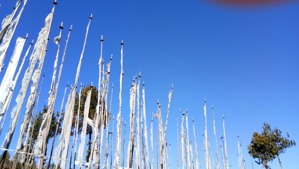 Photo #4774574