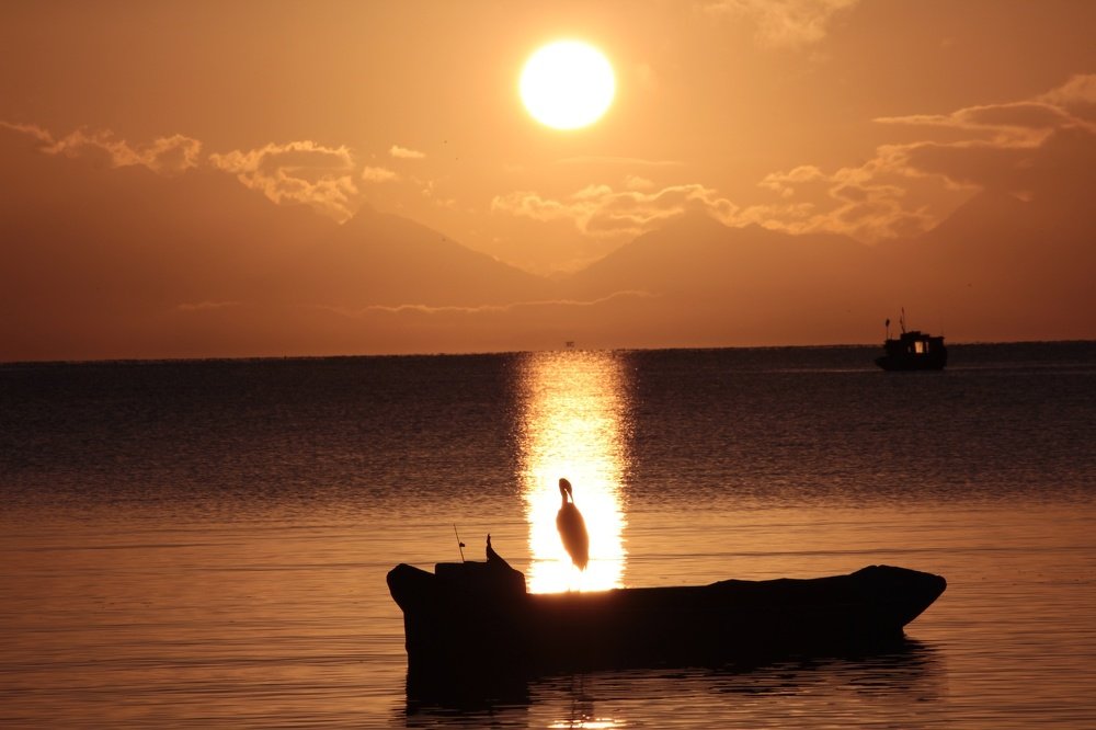 Photograph by Elieser Lopes Barbosa