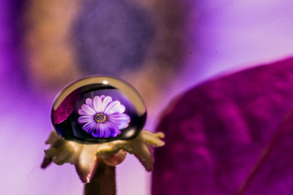 Photograph by Zinda Shaik Mohideen M