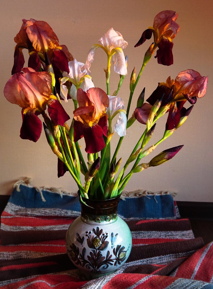 Ирисы