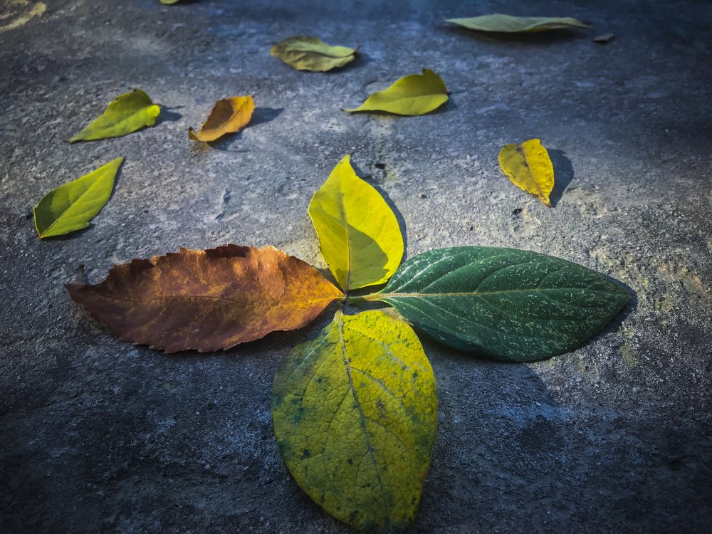 Времена года