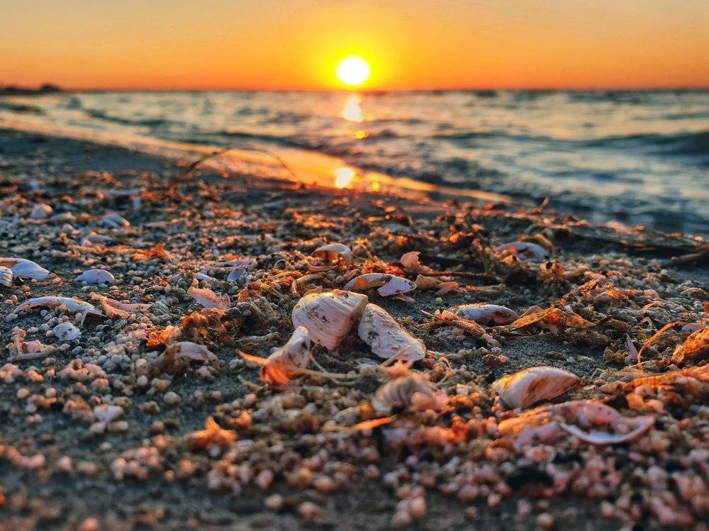 Photograph by Екатерина Хасенова