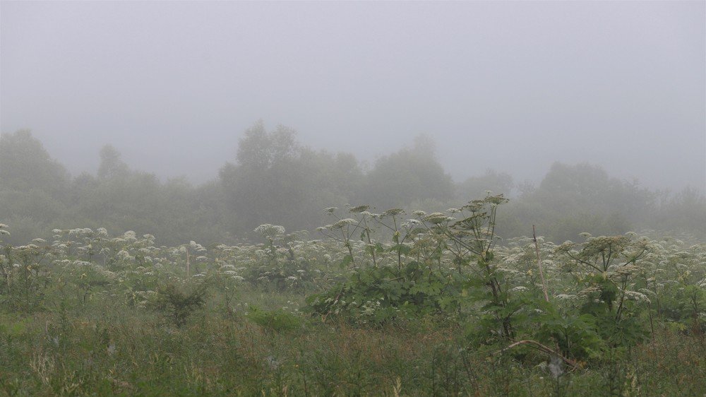 Photograph by Андрей Телибаев