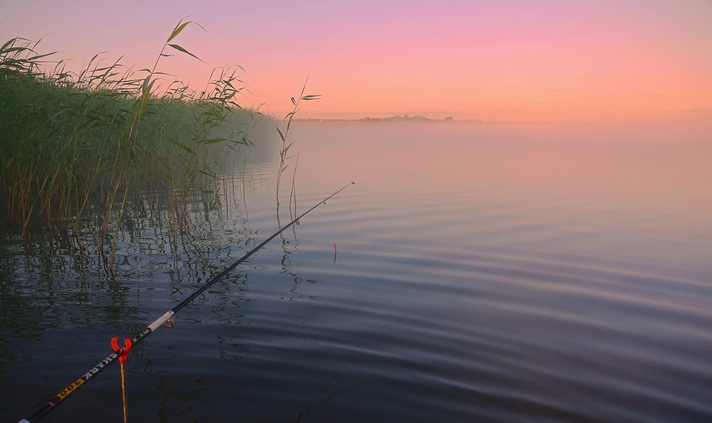 Фотография автора Сергей Марков