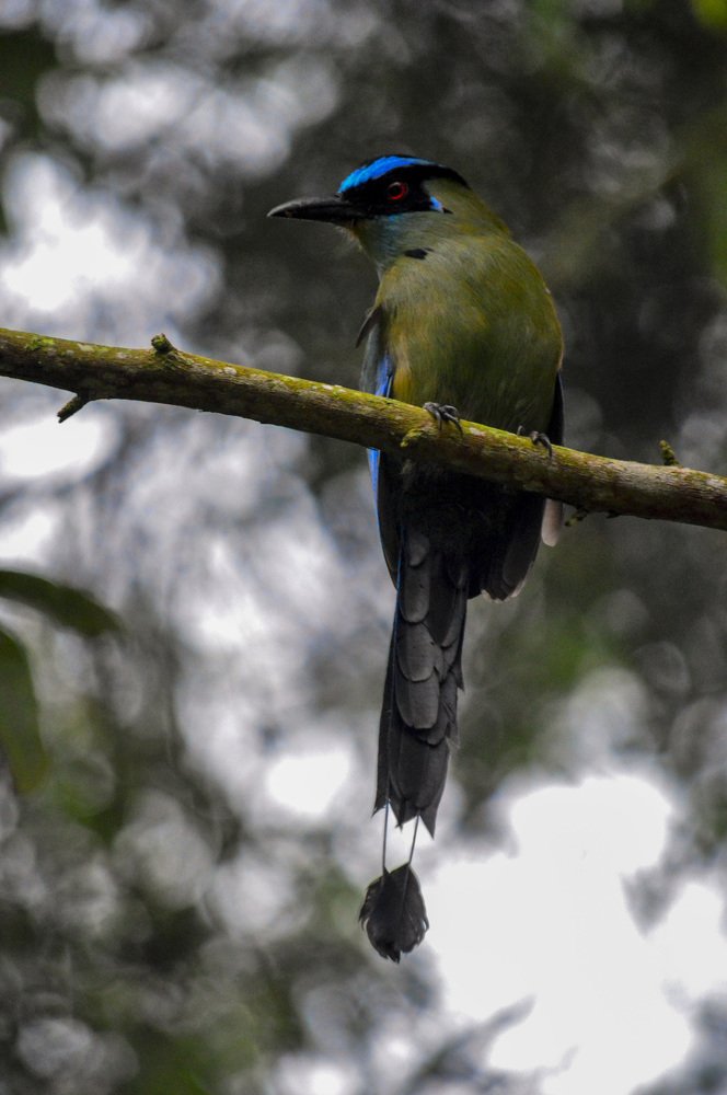 Photograph by Esteban Giraldo Arenas