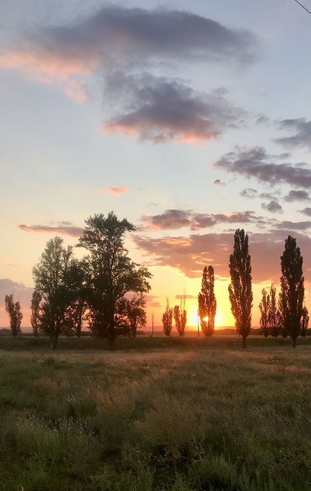 Photograph by Ирина Молибог