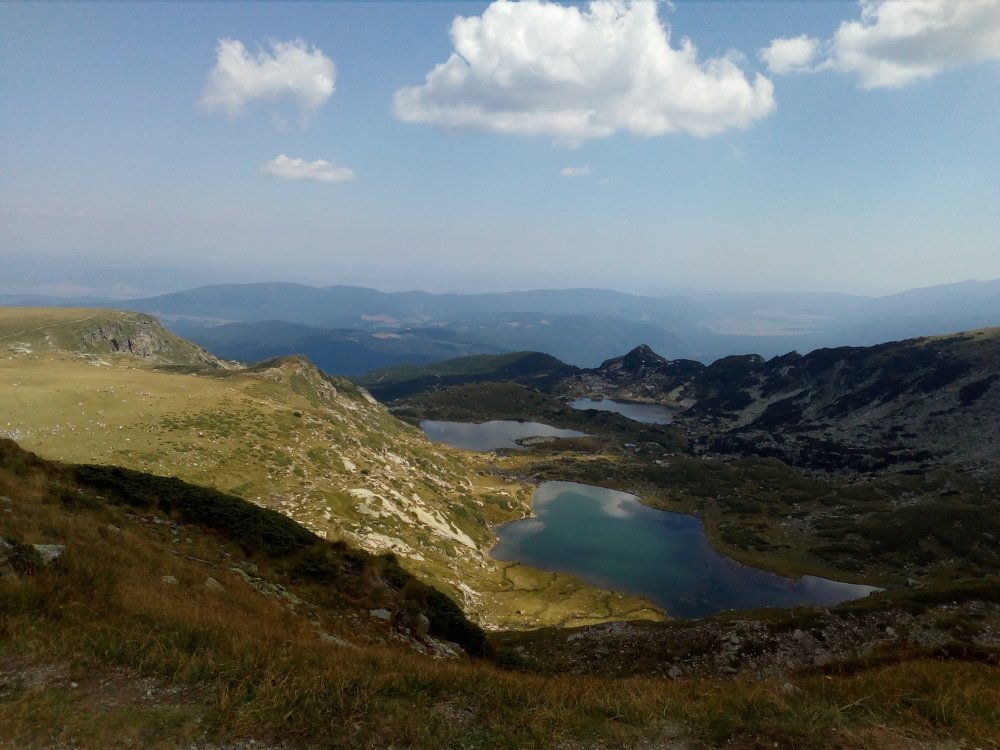 Photo #4775128