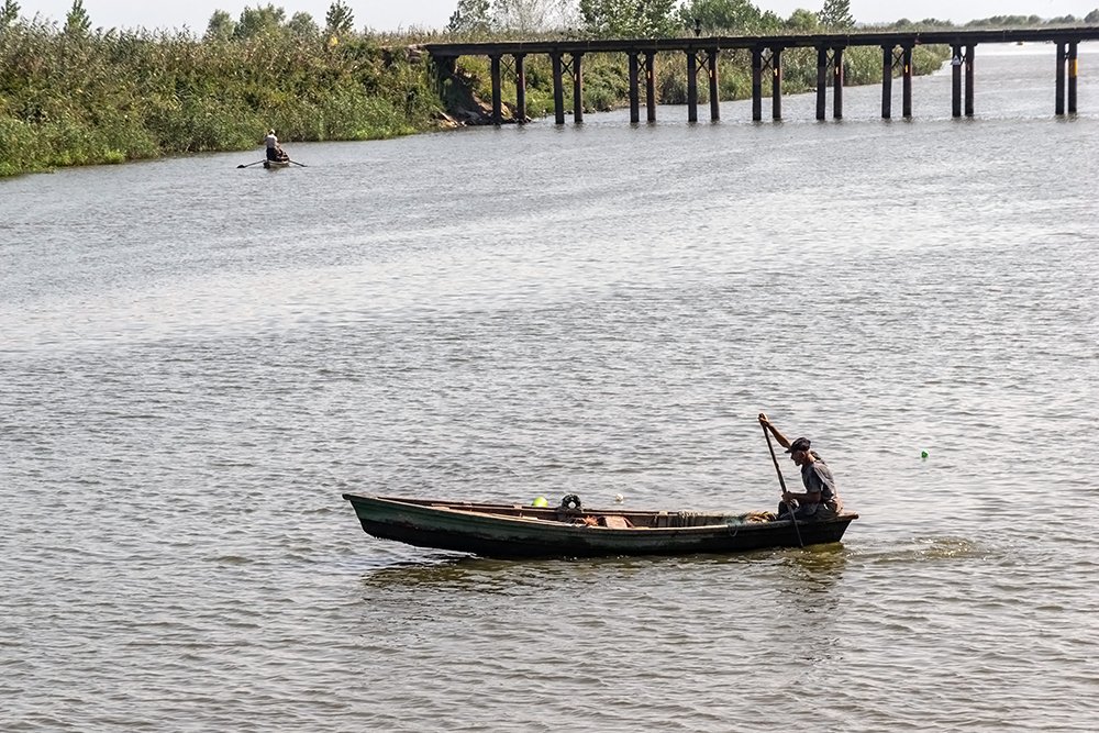 Photograph by alireza