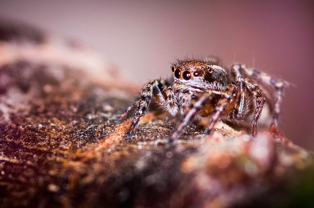 Photograph by Ясинский Юрий