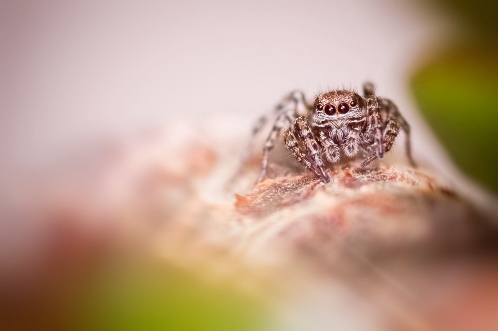 Photograph by Ясинский Юрий