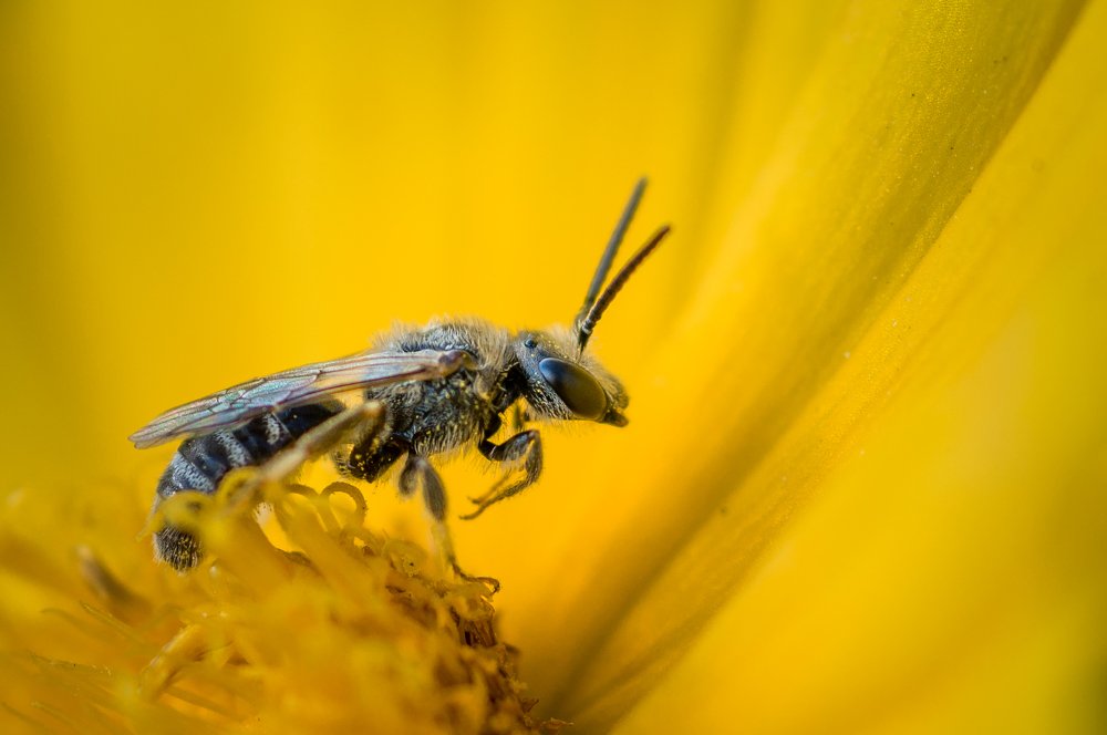 Photograph by Ясинский Юрий