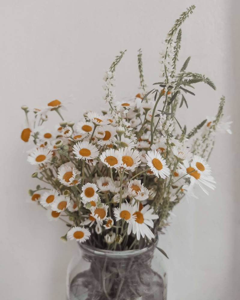 Photograph by Ирина Львова