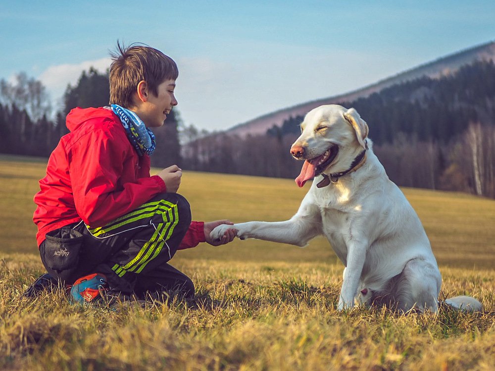 Photograph by Petr Kočica