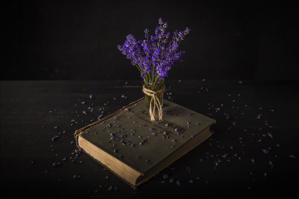 Лаванда / Lavander