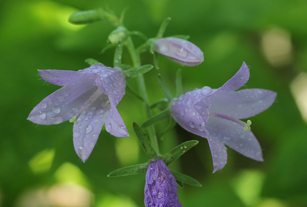 Photograph by Виталий Першин