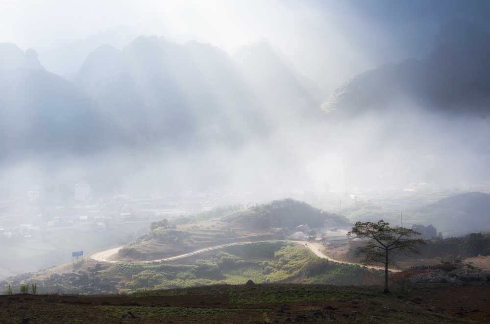 Photograph by phuong