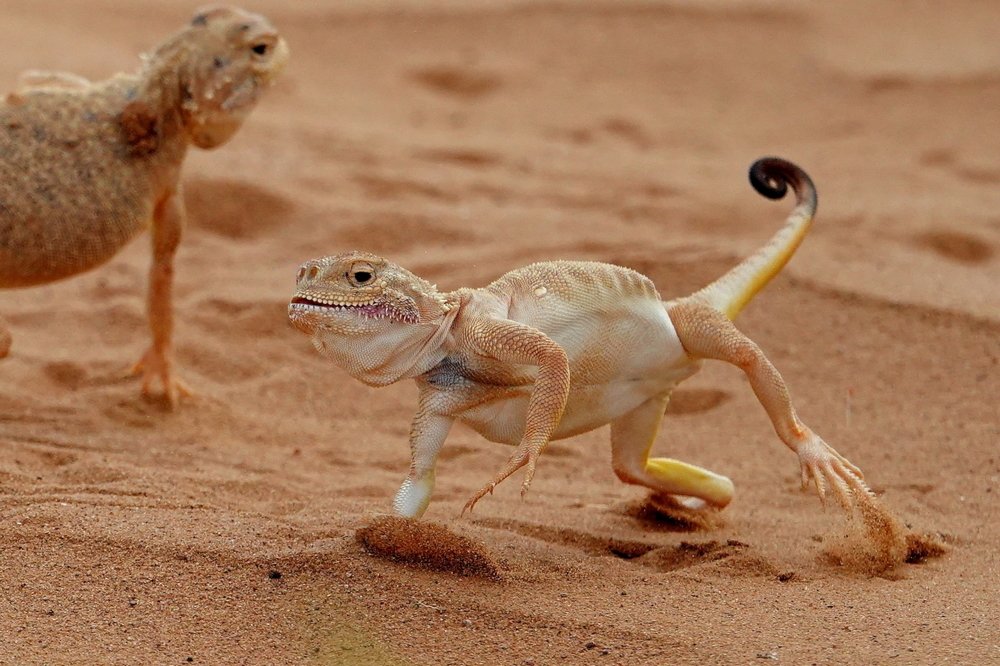 Photograph by Александр Маркелов