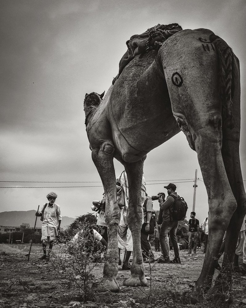 Photograph by Bunny ayush