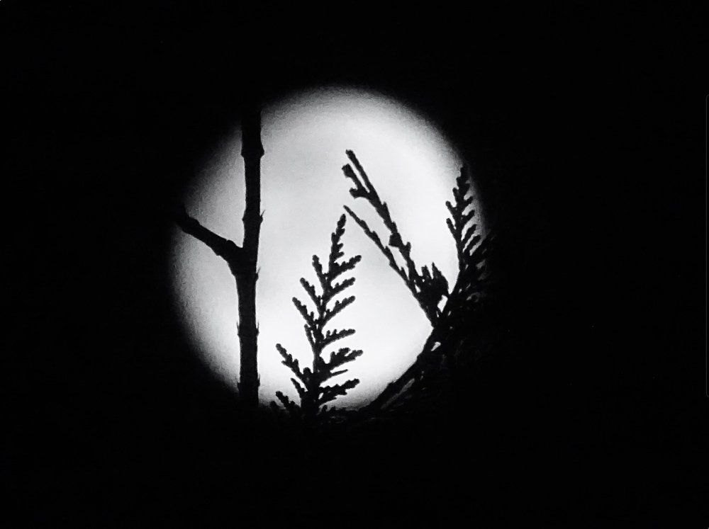 Photograph by Sona Sahakian