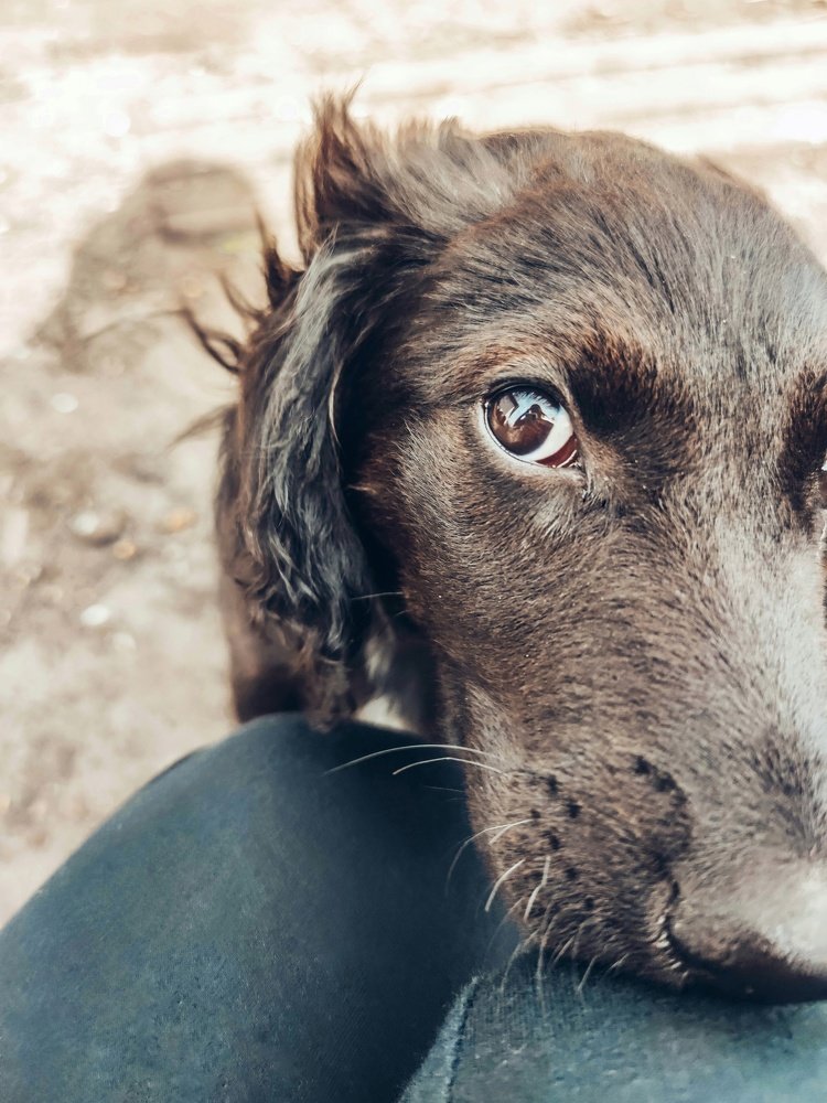 Photograph by Мария Фак