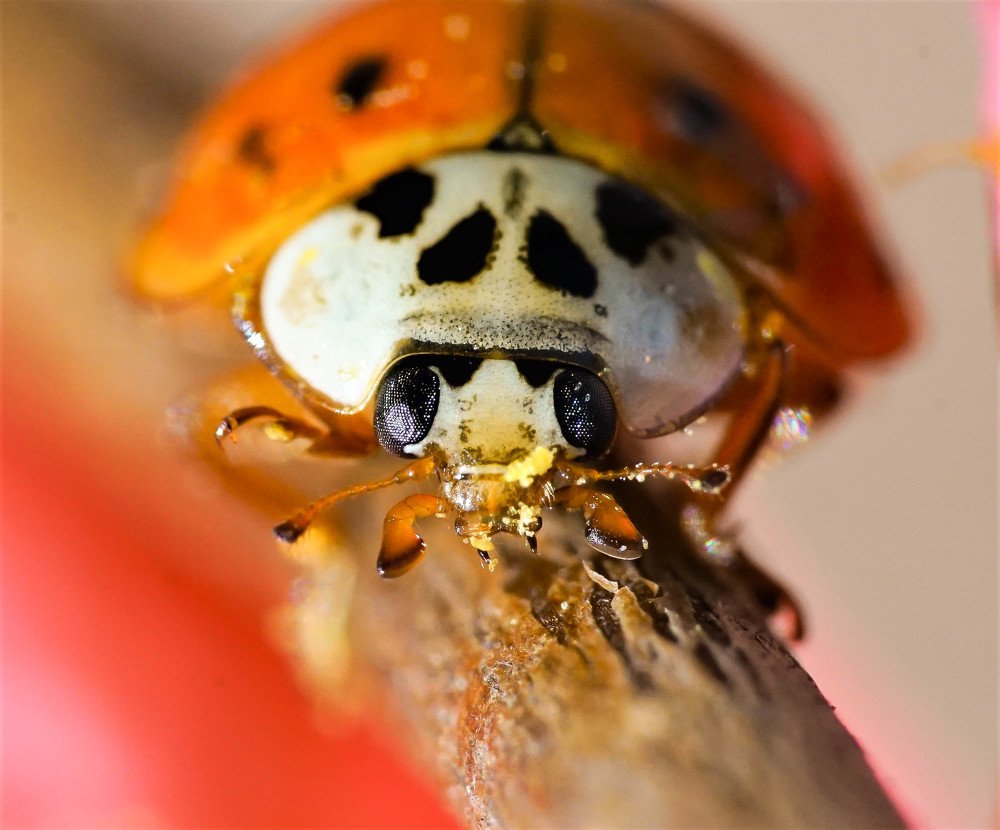 Photograph by Karina Elena Bergagna