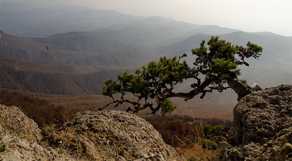 На вершине Демерджи