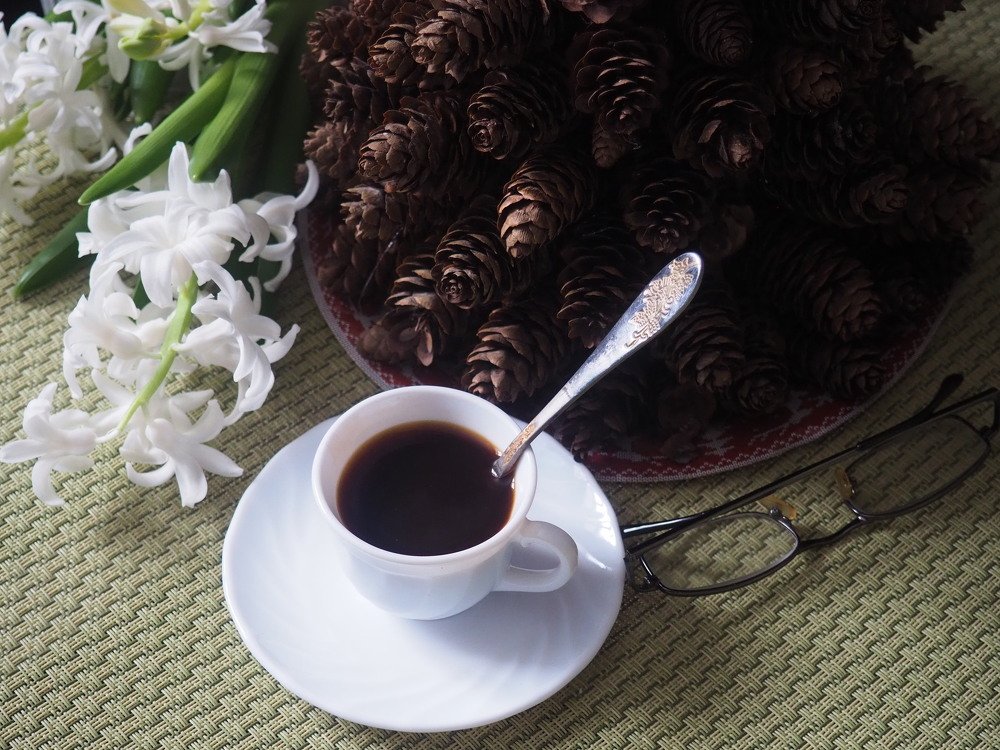 Photograph by Elena Khalizova