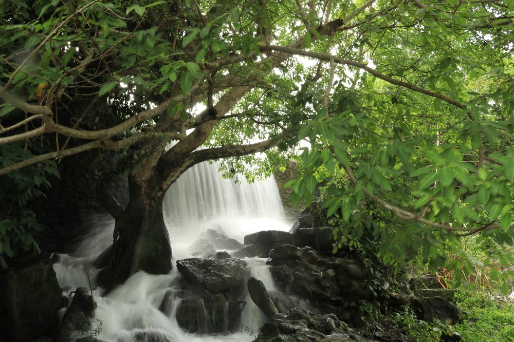 Photograph by Munawar Abdullah