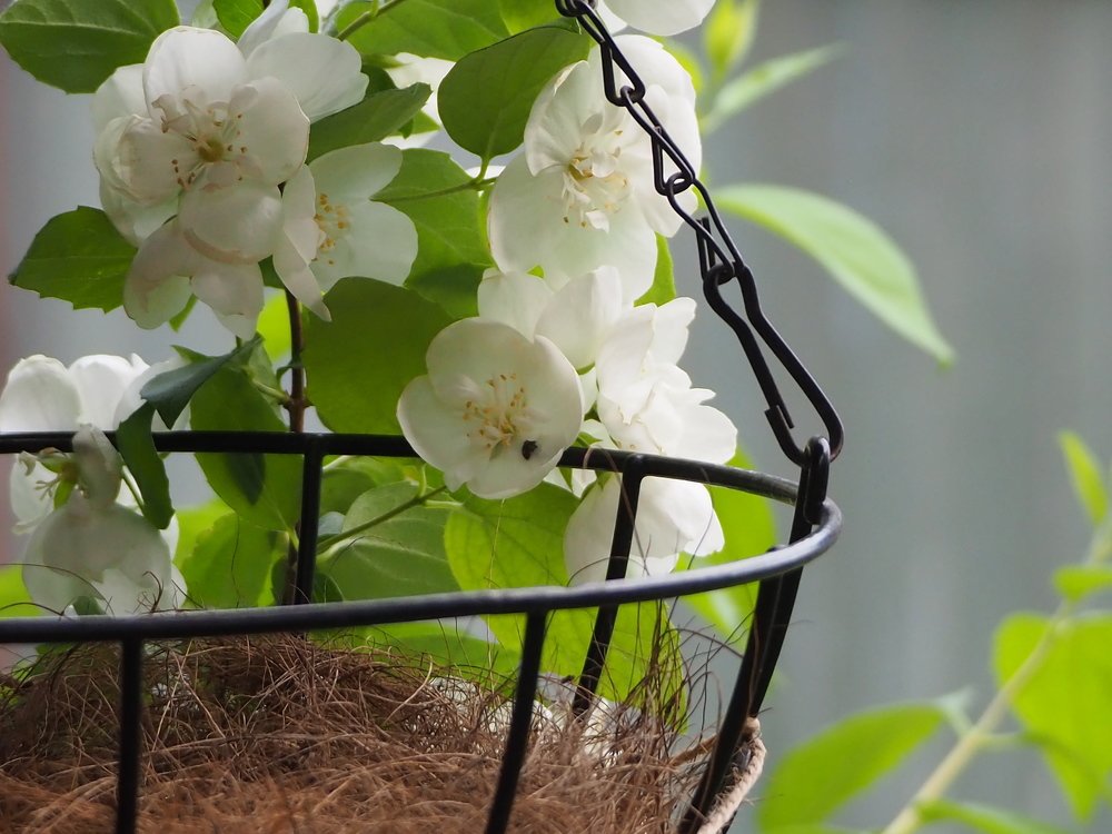 Photograph by Elena Khalizova