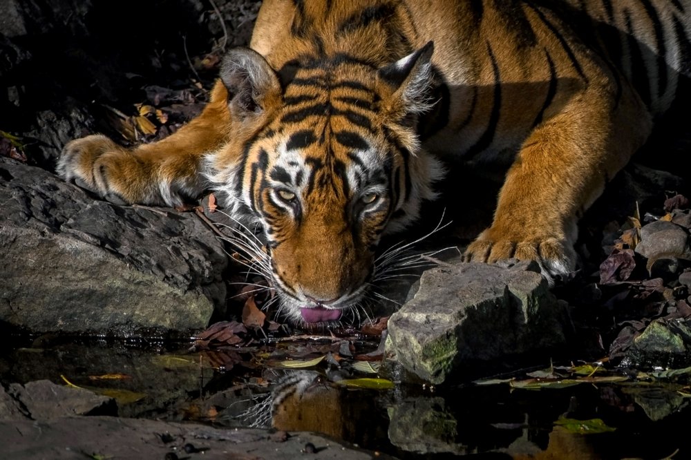 Photograph by Александр Маркелов