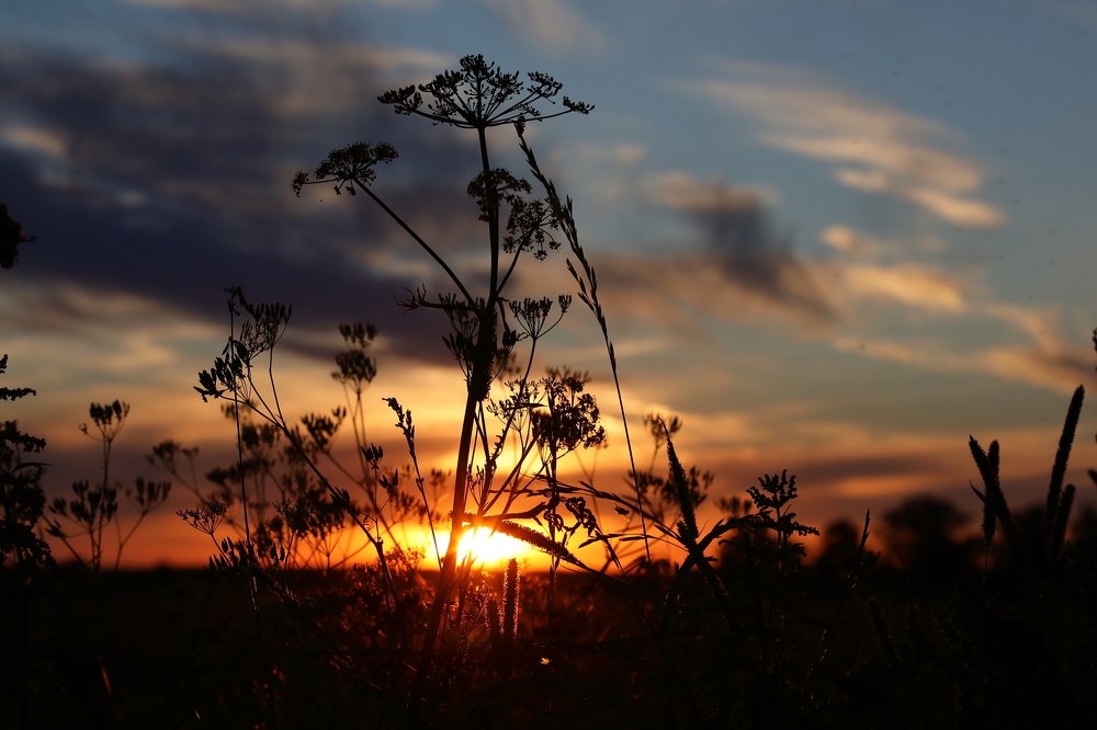 Photograph by Мария Харлашова