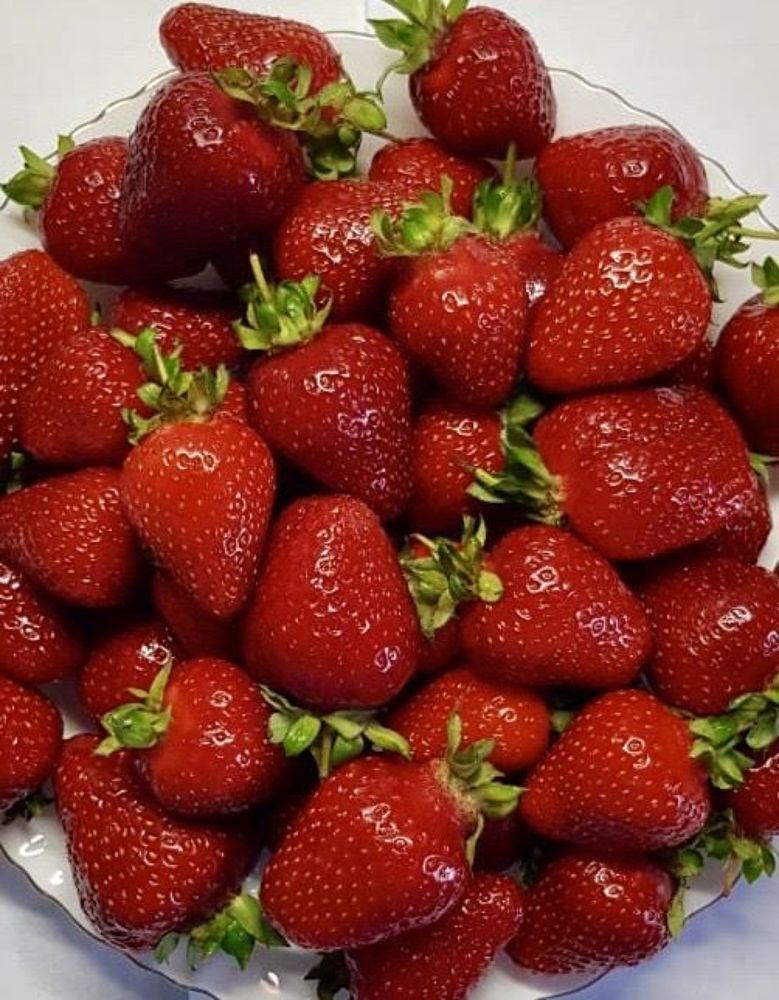 Photograph by Ирина Молибог