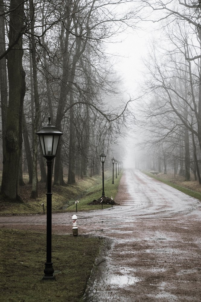 Photograph by Вадим Кондрат