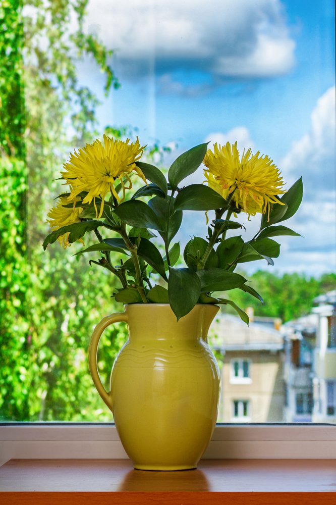 Photograph by Дмитрий Долгих