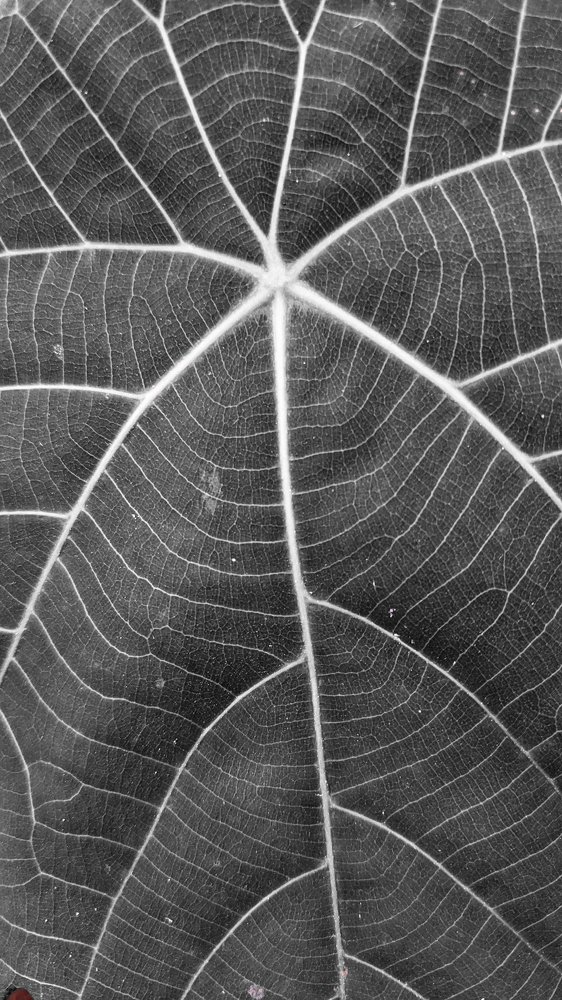 Repeating pattern