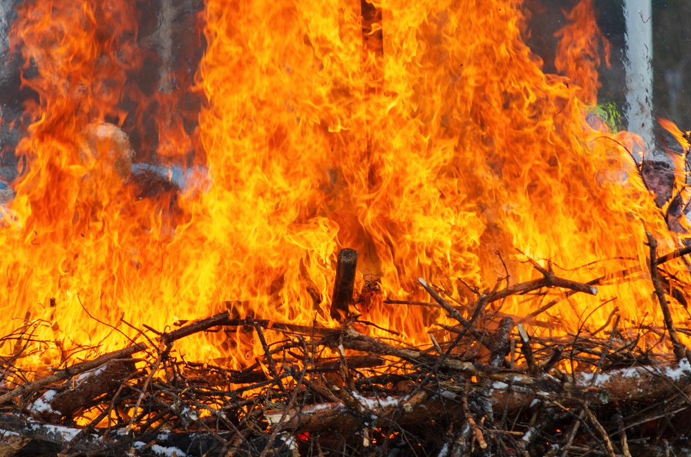 Photograph by Дмитрий Долгих