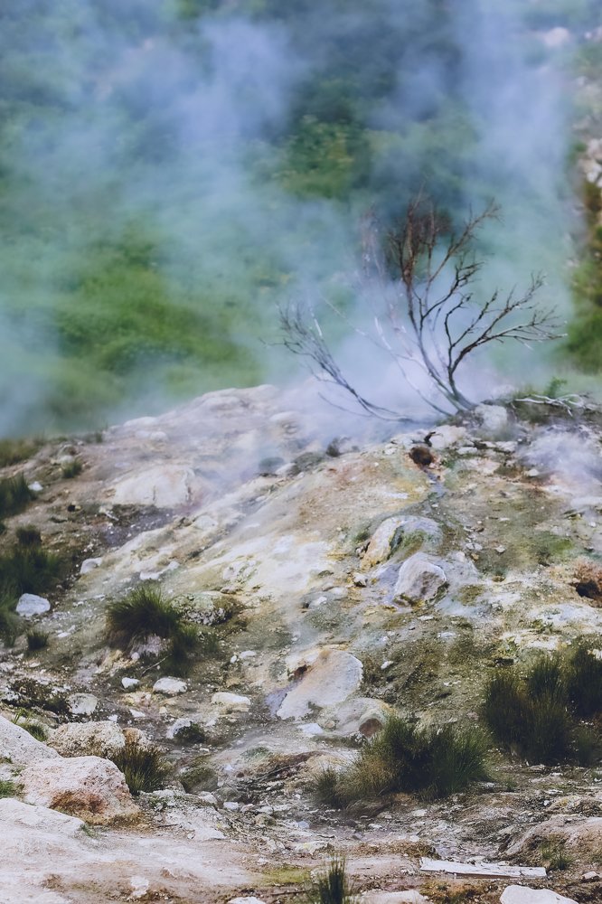 Photograph by Полина Нечаева