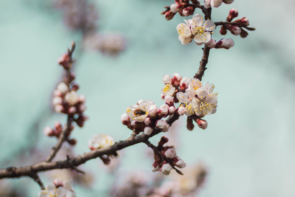 Photograph by Роман Троцан