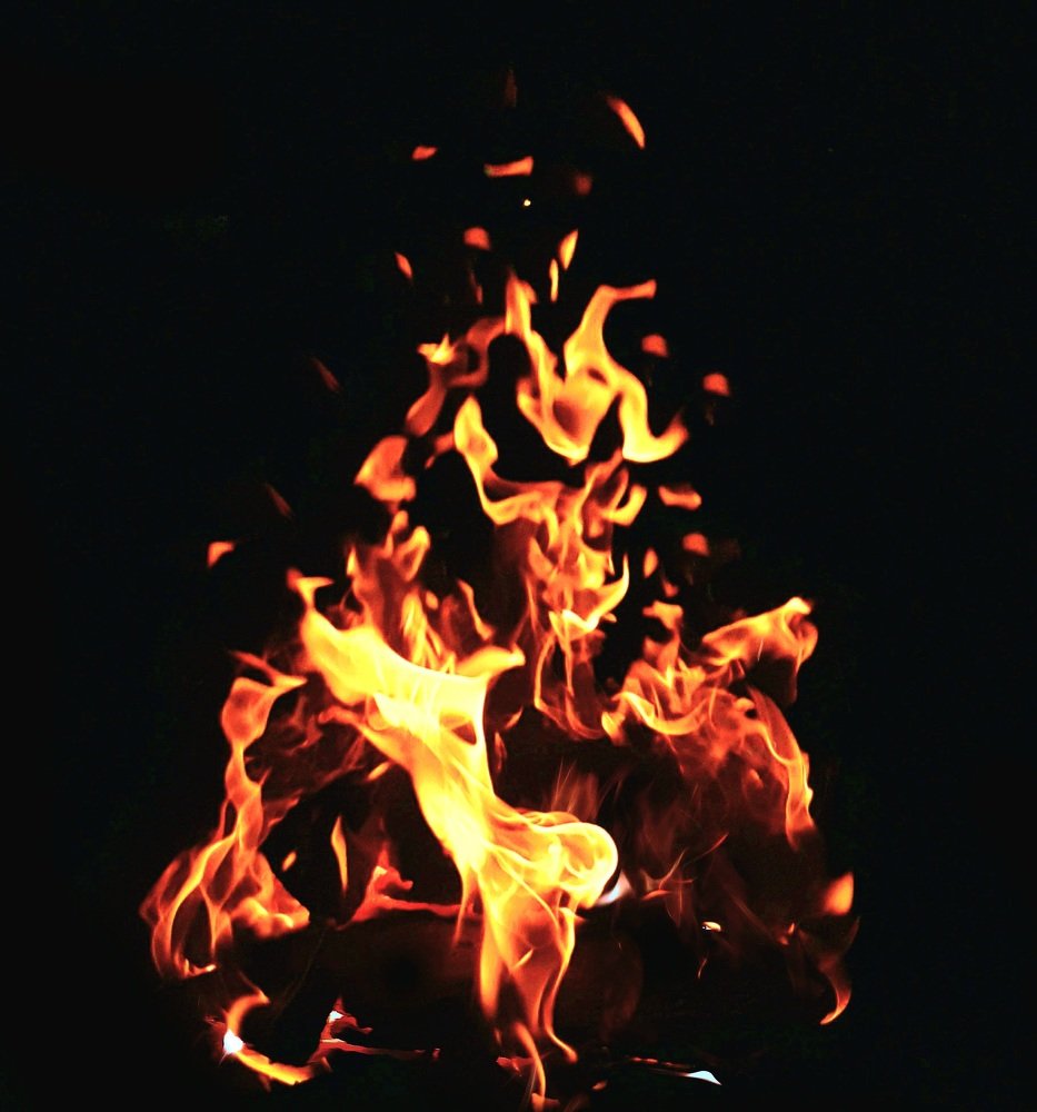 Photo #4776038