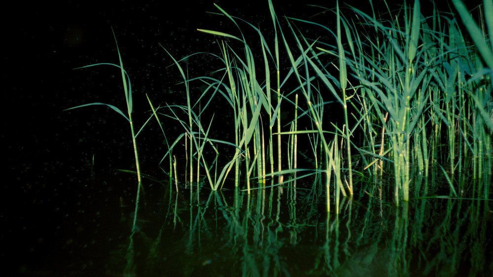 Photograph by Роман Троцан