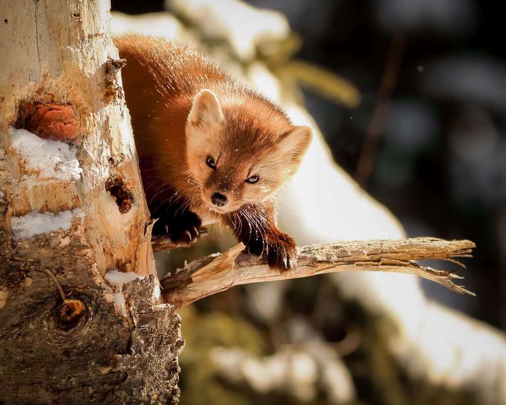 Photograph by JAMES BAILEY