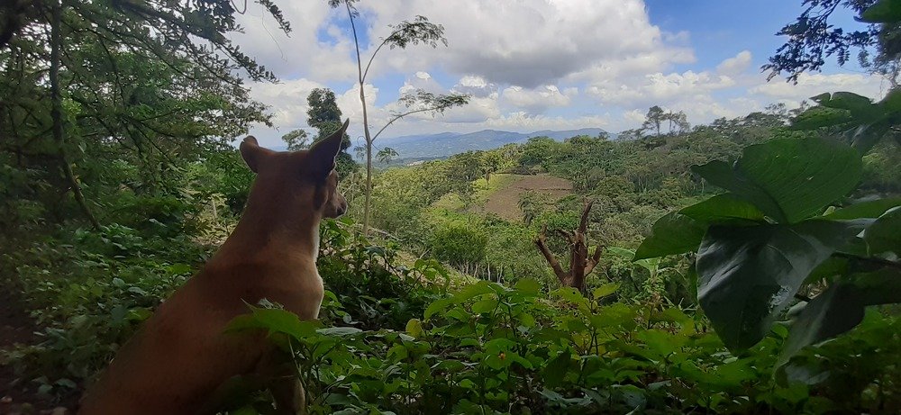 Photo #4776198