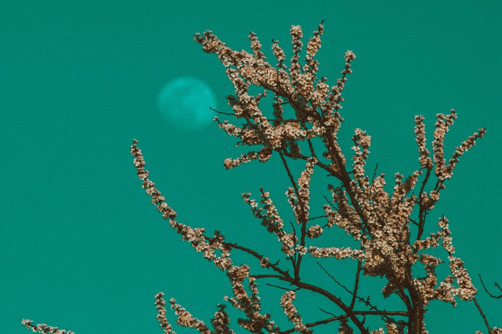 Photograph by Роман Троцан