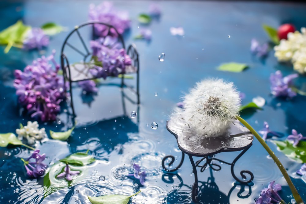 Photograph by Ольга Ильина