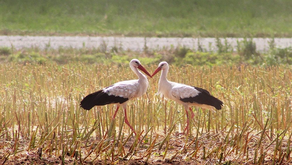 Photograph by Galina Tsmyg