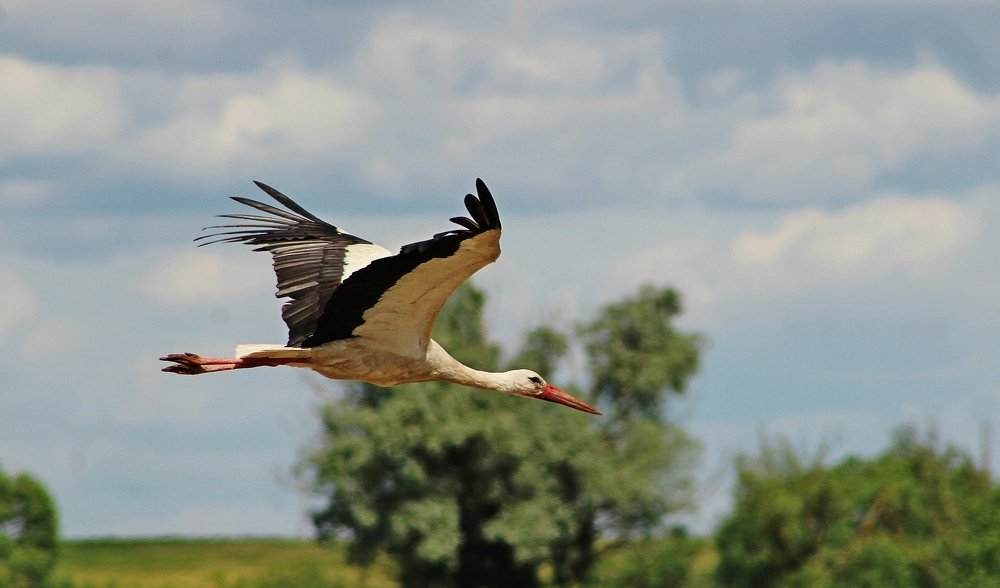 Photograph by Galina Tsmyg
