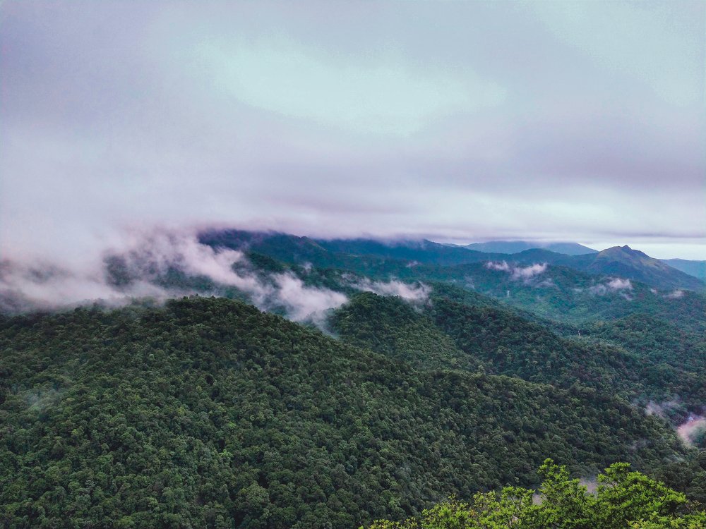 Photograph by Hussain Mahammad