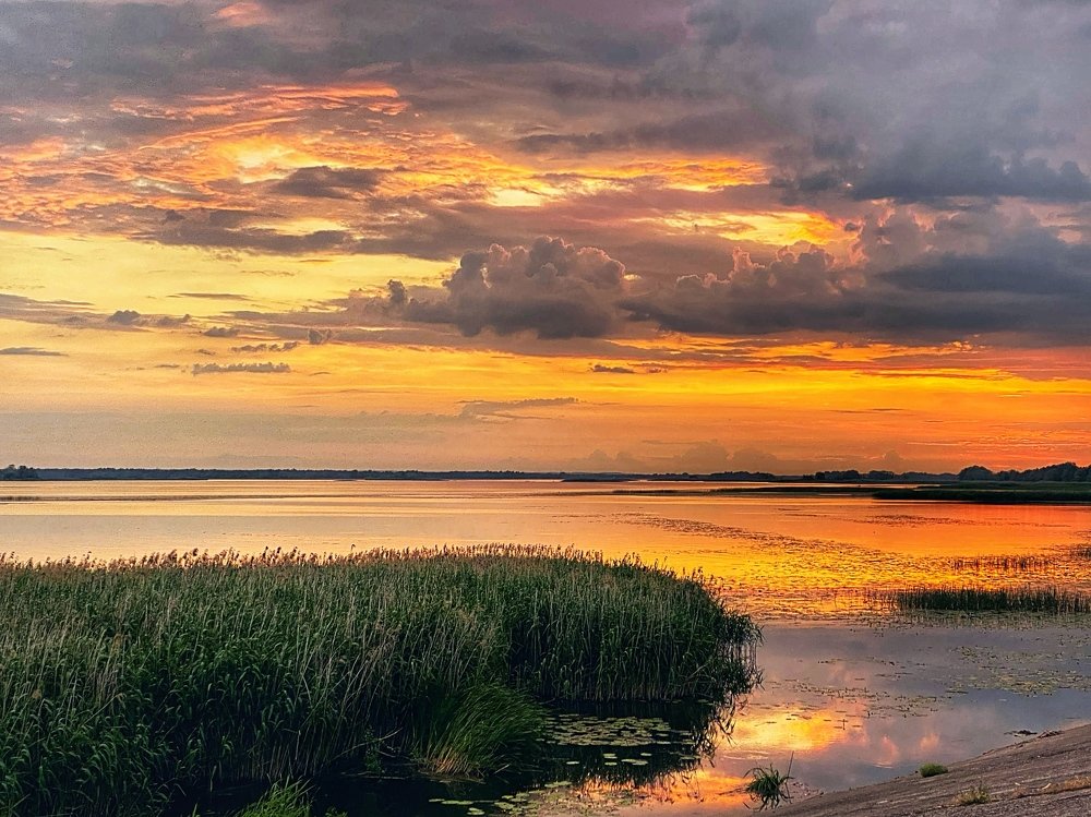 Photograph by Лилия Куюн